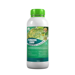 FUNGISIL - 2000 DIỆT NẤM - VI KHUẨN